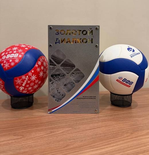 Фото Премия «Золотой Диалкон» - у Всероссийской федерации волейбола 